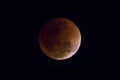 Blood Moon in the lunar eclipse and also a Blue Moon and super moon Royalty Free Stock Photo