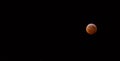 A Blood Moon during a Lunar Eclipse Royalty Free Stock Photo