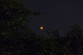 Blood moon at lunar eclipse