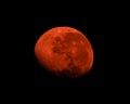 a blood moon in the sky during a super blood moon eclipse Royalty Free Stock Photo