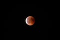 Blood moon starting to escape the full eclipse Royalty Free Stock Photo