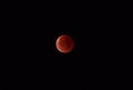 Blood Moon or Super Moon Luna Eclipse