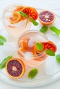 Blood orange cocktail with slices of orange Royalty Free Stock Photo