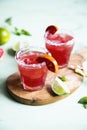 Blood orange and lime margarita cocktail with slices of fresh fruit and ice on optimistic green background Royalty Free Stock Photo