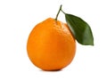 Blood orange - `tarocco` with leaf