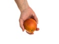 White man holds a blood orange in his hand Royalty Free Stock Photo