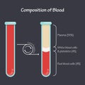 Composition of blood after centrifugation scientific vector illustration graphic