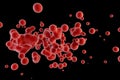 Blood red corpuscles