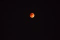 Blood red moon alone in the sky Royalty Free Stock Photo