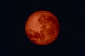 Blood moon Royalty Free Stock Photo