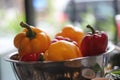 Blood Red and Yellow Capsicums strewn on a table.