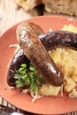 Blood sausage and white pudding Royalty Free Stock Photo