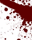 Blood smear Royalty Free Stock Photo