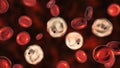 Plasmodium vivax inside red blood cell in the stage of ring-form trophozoite