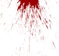 Blood splashed on white background Royalty Free Stock Photo