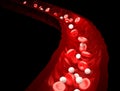 Blood Stream - Red and White Blood Cells Flowing Through Vein - isolated on black