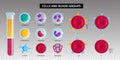 Blood Types Cells Transparent Set