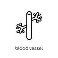 Blood Vessel icon. Trendy modern flat linear vector Blood Vessel Royalty Free Stock Photo