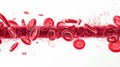 Blood vessel sliced macro with erythrocytes. Isolated on white. Generative Ai Royalty Free Stock Photo