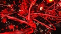 Blood vessels, circulatory system Royalty Free Stock Photo