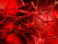 Blood vessels. Circulatory system