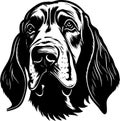 Bloodhound - black and white vector illustration Royalty Free Stock Photo
