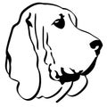Bloodhound dog vector eps Hand drawn Crafteroks svg free, free svg file, eps, dxf, vector, logo, silhouette, icon, instant downloa Royalty Free Stock Photo