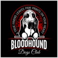 Bloodhound - vector illustration for t-shirt, logo and template badges