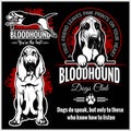 Bloodhound - vector set for t-shirt, logo and template badges