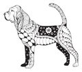 Bloodhound zentangle stylized, vector, illustration, freehand Royalty Free Stock Photo