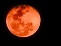 Bloodmoon or red moon on dark sky Royalty Free Stock Photo