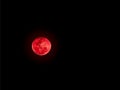 Bloodmoon or red moon on dark sky Royalty Free Stock Photo