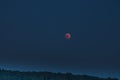 Bloodmoon or red moon phenomenon with dark sky Royalty Free Stock Photo