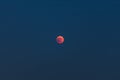 Bloodmoon or red moon phenomenon with dark sky Royalty Free Stock Photo