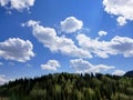 Bloods Lake Trail Sky and Trees Background. Royalty Free Stock Photo