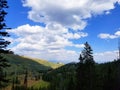 Bloods Lake Trail Sky and Trees Background. Royalty Free Stock Photo