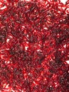Bloodworm Royalty Free Stock Photo