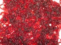 Bloodworm Royalty Free Stock Photo