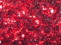 Bloodworm Royalty Free Stock Photo