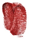 Bloody fingerprint from crime scene, isolated on white background. Red fingerprint Royalty Free Stock Photo