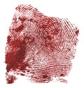 Bloody fingerprint isolated on white background. Red fingerprint. Criminal style Royalty Free Stock Photo