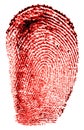 Bloody fingerprint isolated on white background. Red fingerprint. Technology concept Royalty Free Stock Photo