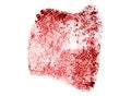 Bloody fingerprint on white background Royalty Free Stock Photo