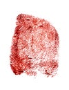 Bloody fingerprint on white background Royalty Free Stock Photo
