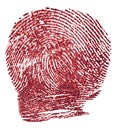 Bloody fingerprint on white background, macro. Imprint of index finger