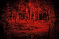 Bloody forest. Black silhouettes of trees on a red foggy background. Horror mystic occult nightmare creepy fear concept. Gloomy