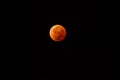 Bloody Lunar Eclipse. Blood Red Moon. Super Moon In The Black Sky. Space View With Stars. Selective Focus