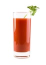 Bloody Mary Cocktail Royalty Free Stock Photo