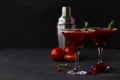 Bloody Mary cocktail. Alcoholic drink with vodka Royalty Free Stock Photo