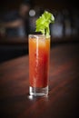 Bloody Mary cocktail Royalty Free Stock Photo